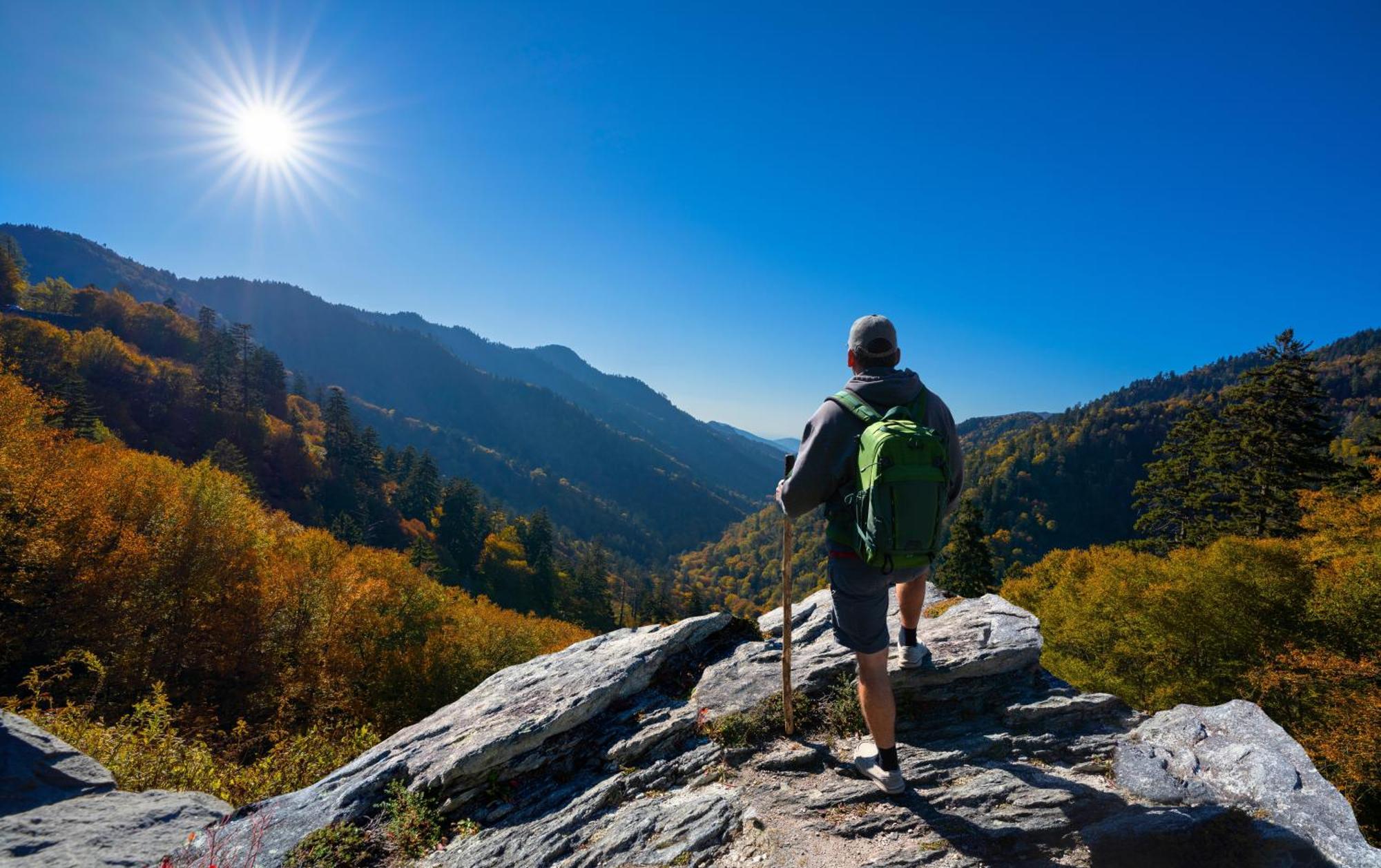 Smoky Mountain Serenity, Amazing Mountain Views 1089 Free Tickets Each Paid Day, Dollywood And More Сев'єрвілл Екстер'єр фото