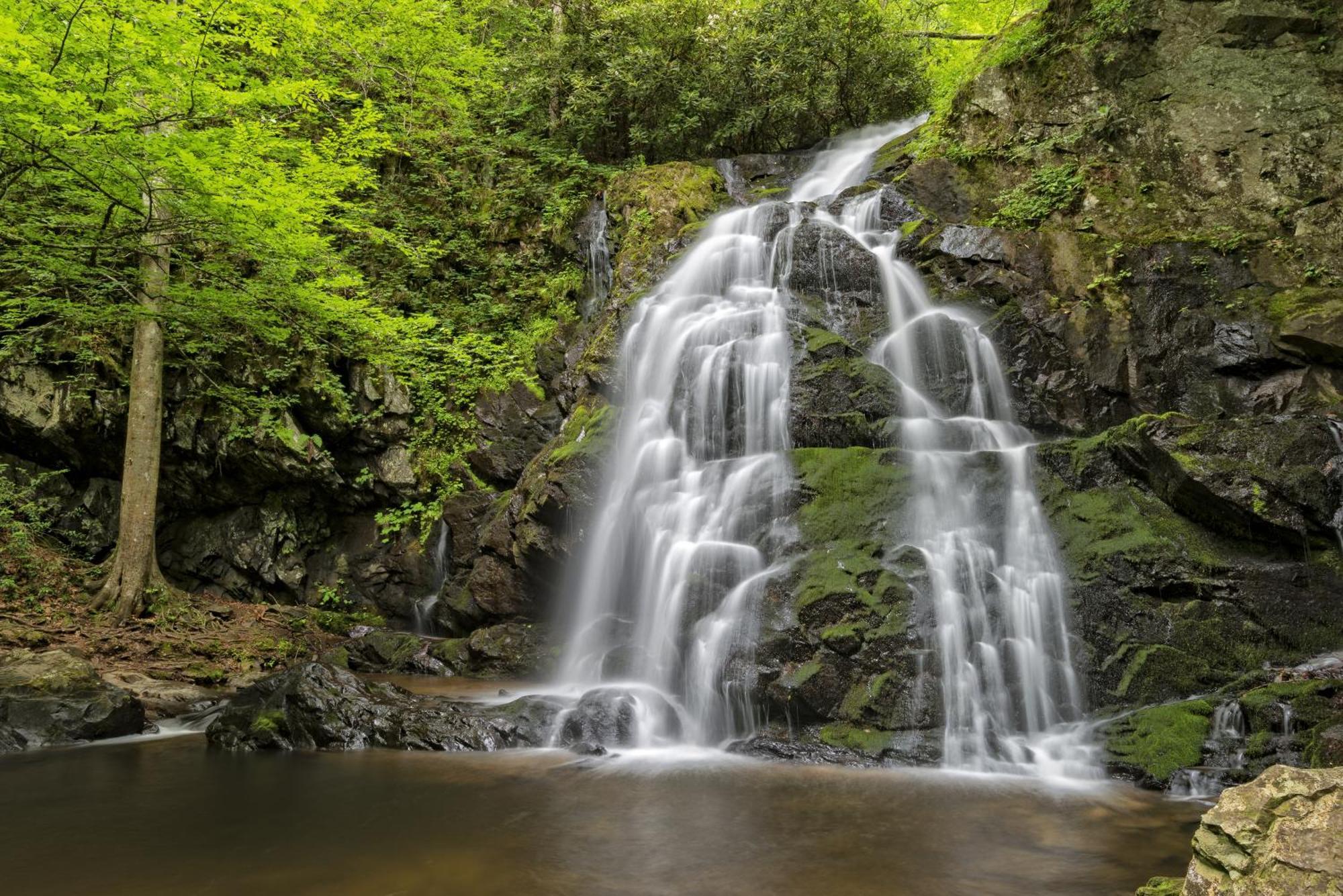 Smoky Mountain Serenity, Amazing Mountain Views 1089 Free Tickets Each Paid Day, Dollywood And More Сев'єрвілл Екстер'єр фото
